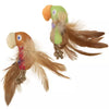 Petlinks® Instincts Love Mates™ Feathery Plush HappyNip™ Silvervine & Catnip Bird Cat Toys (Set of 2)