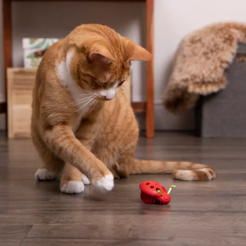 SmartyKat Instincts Rowdy Rumbler™ Electronic Motion Cat Toy (Multi-Color)