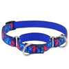 Lupine Pet Original Designs Martingale Training Collar