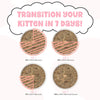 Weruva BFF Kitten! Chicken & Salmon Cuddle Buds! Dinner in Gravy Cat Food (2.8 oz - 12pk)
