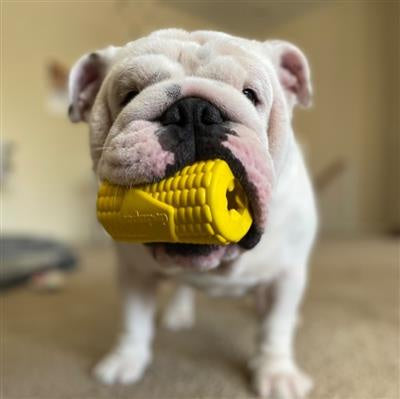 Soda Pup Corn On The Cob Treat Dispenser