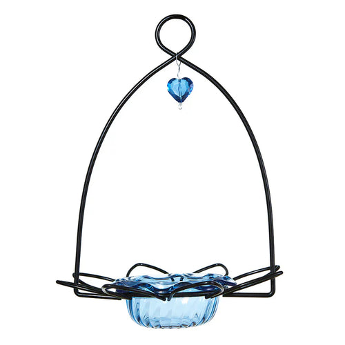 Birds Choice Bluebird Feeder Flower Shape for Mealworms and Dried Fruit (8L x 8W x 10H)