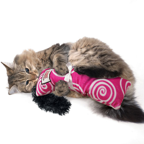 Kong Kickeroo™ Swirl Cat Toy