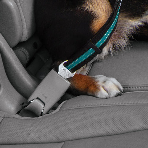 Kurgo Direct to Seatbelt Swivel Tether