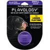 Playology Dental Chew Ball Dog Toy