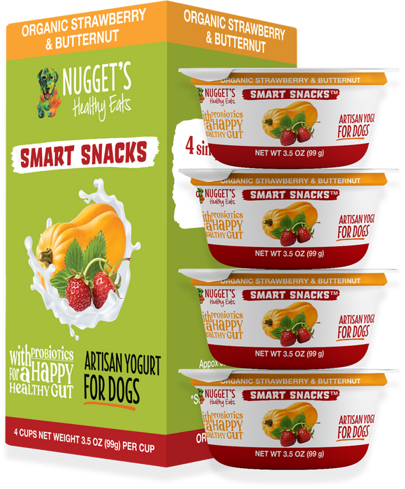 Nugget's Healthy Eats Frozen Smart Snacks Artisan Yogurt Strawberry & Butternut for Dogs (3.5 oz)