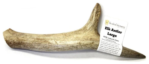 Tuesdays Natural Dog Company Elk Antler - Large Whole Dog Treats (Large)