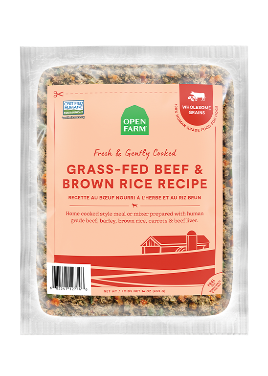 Open Farm Grass-Fed Beef & Brown Rice Gently Cooked Recipe Wet Dog Food (16 oz)