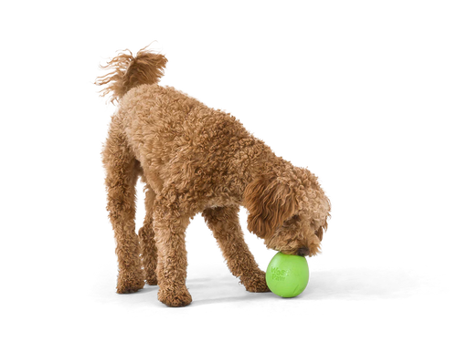 West Paw Zogoflex Rumbl® Dog Toy