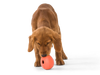 West Paw Zogoflex Rumbl® Dog Toy