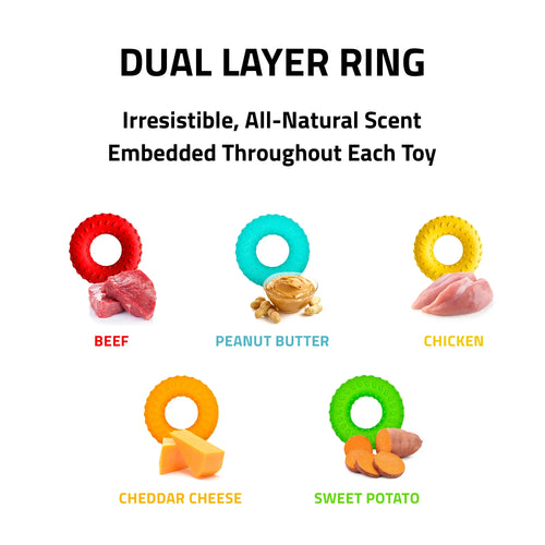 Playology Dual Layer Ring Dog Toy (Chicken Scent, Medium)