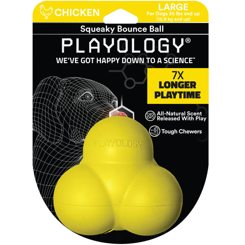 Playology Squeaky Bounce Ball Dog Toy (Beef / Large)