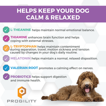 Nootie Progility Calming Aid Soft Chew Supplement For Dogs (4 Count)