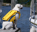 Bay Dog Monterey Bay Offshore Dog Lifejacket (Large, Yellow)