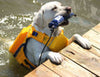 Bay Dog Monterey Bay Offshore Dog Lifejacket (Large, Yellow)