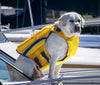 Bay Dog Monterey Bay Offshore Dog Lifejacket (Large, Yellow)