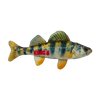 KONG Shieldz Wildz Fish Dog Toys (Medium)