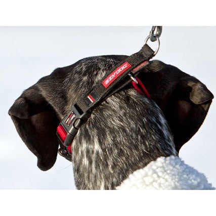 EzyDog Checkmate Collar Black (Medium)