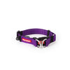 EzyDog DoubleUp Collar Purple (Small)