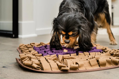 Injoya PB&J Snuffle Mat: Unleash the Fun & Satisfy Your Pet's Natural Instincts