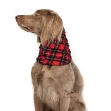 Goldpaw Snood Red Plaid/Black (Large)