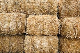 Wheat Straw Bale