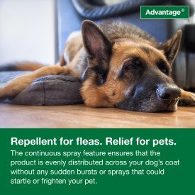 Advantage Dog Flea Treatment Spray (15-oz)