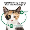 Advantage II Kitten Flea Treatment & Prevention (2 Monthly Doses)