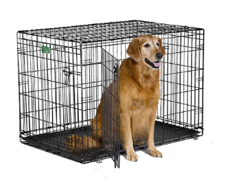 Midwest iCrate 1542DD Double Door Folding Dog Crate 42 x 28 x 30