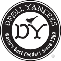 Droll Yankees