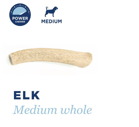 Barkworthies Elk Antler Medium Whole (Medium)