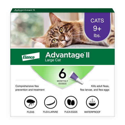 Advantage II Large Cat Flea Treatment & Prevention (4 Count)