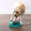 Outward Hound Dog Spin N' Eat Puzzle (Green)