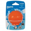 Chuckit! Hydrofreeze Dog Toy