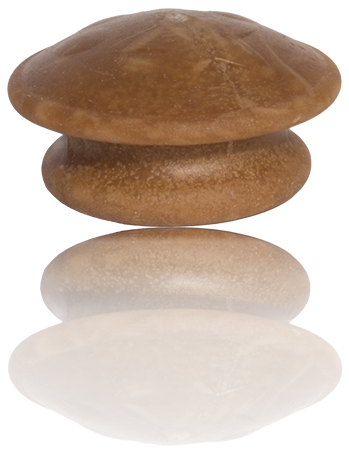 Starmark Lock & Block TREATS