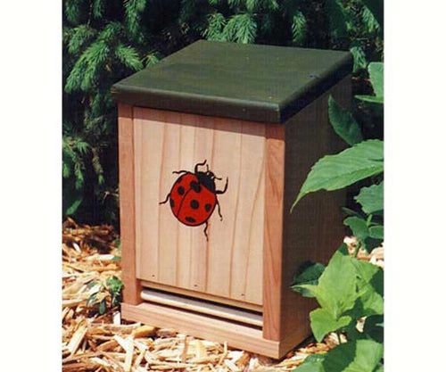 Songbird Essentials Ladybug House