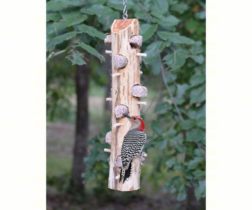 Songbird Essentials 6 Plug Suet Log With Perches