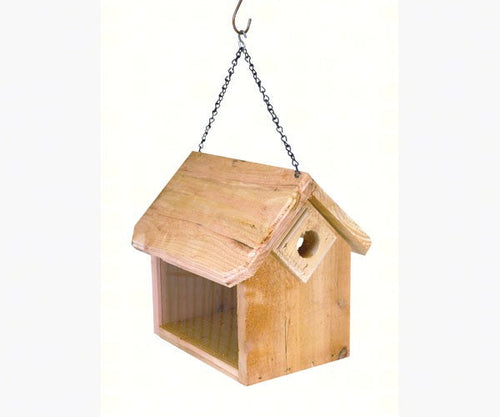 Songbird Essentials Hanging Bluebird Feeder