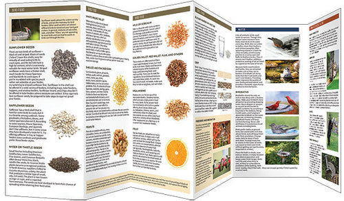 Waterford Press Bird Feeders And Food