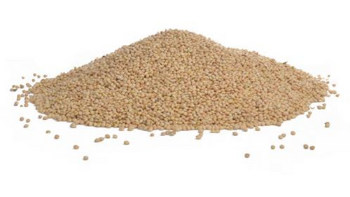 Lizzie Mae's White Millet