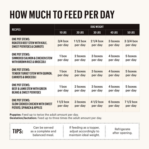 The Honest Kitchen One Pot Stews Roasted Beef Stew with Kale Sweet Potatoes & Carrots Wet Dog Food