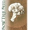 Sow True Seed Cauliflower Seeds - Snowball