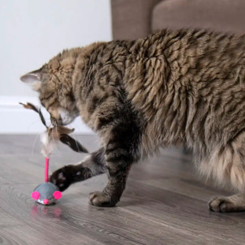 SmartyKat Instincts Runaway Rascal™ Electronic Motion Cat Toy