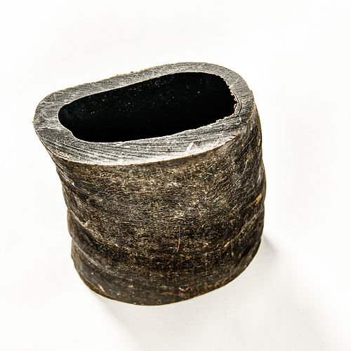 QT Dog Water Buffalo Horn Section Treat