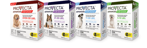 Provecta ADVANCED Flea & Tick Treatment for Dogs