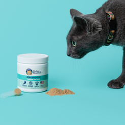 Under the Weather Probiotic Powder For Cats