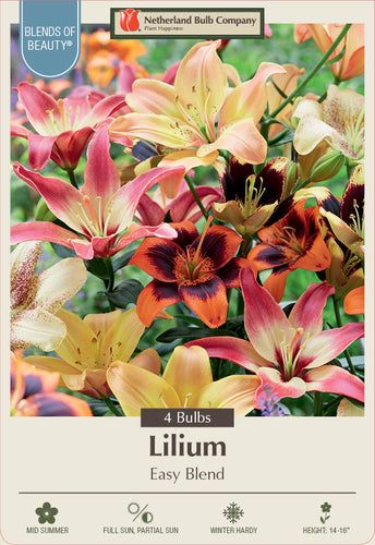 Netherland Bulb Company Lilium  'Easy Blend'