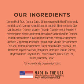 Nature's Variety Instinct Limited Ingredient Diet Salmon Recipe Dry Cat Food