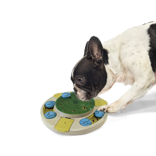 Ethical Products Seek-A-Treat Spinner Puzzle Dog Toy