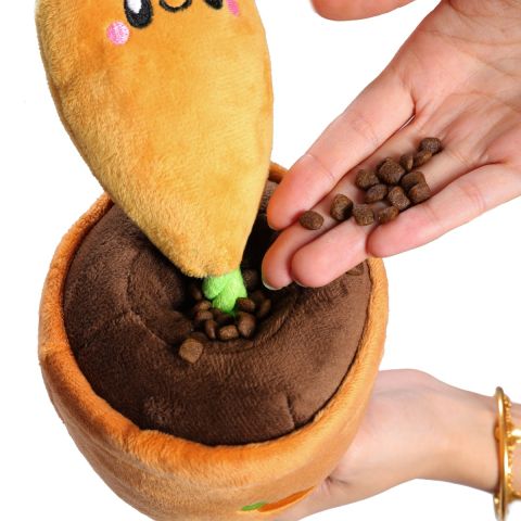 Territory Carrot Treat-and-Tug Dog Toy